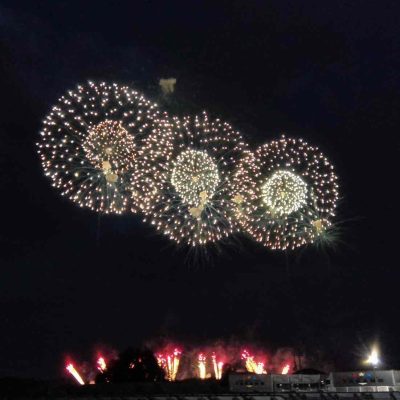 花火大会 - 株式会社T-REX関東 - お知らせ